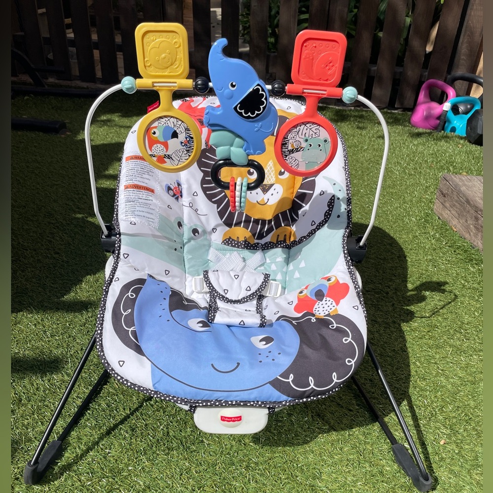 Fisher Price Baby Bouncer